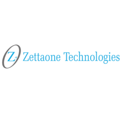 Safety Zest client logo